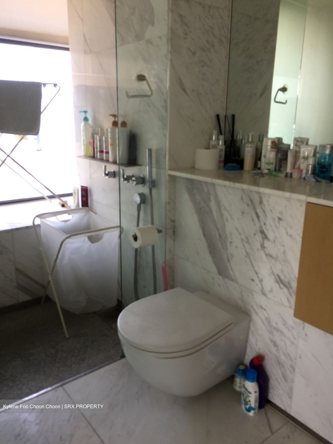 Newton Suites (D11), Apartment #545287521